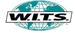 WITS-personal-training-review